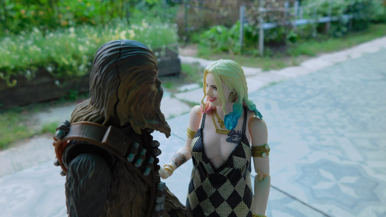 Дачно-барбейское июль, Харлинское 2-я серия 199