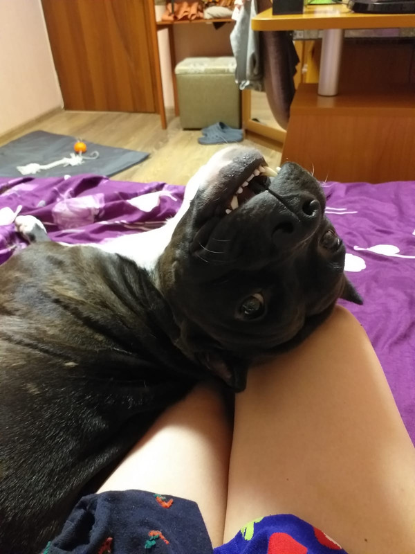 3A22C8C8-4A9F-4A46-B0EF-119C40D07E1F