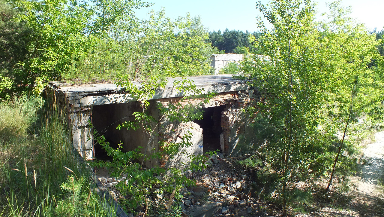 DSCF8809