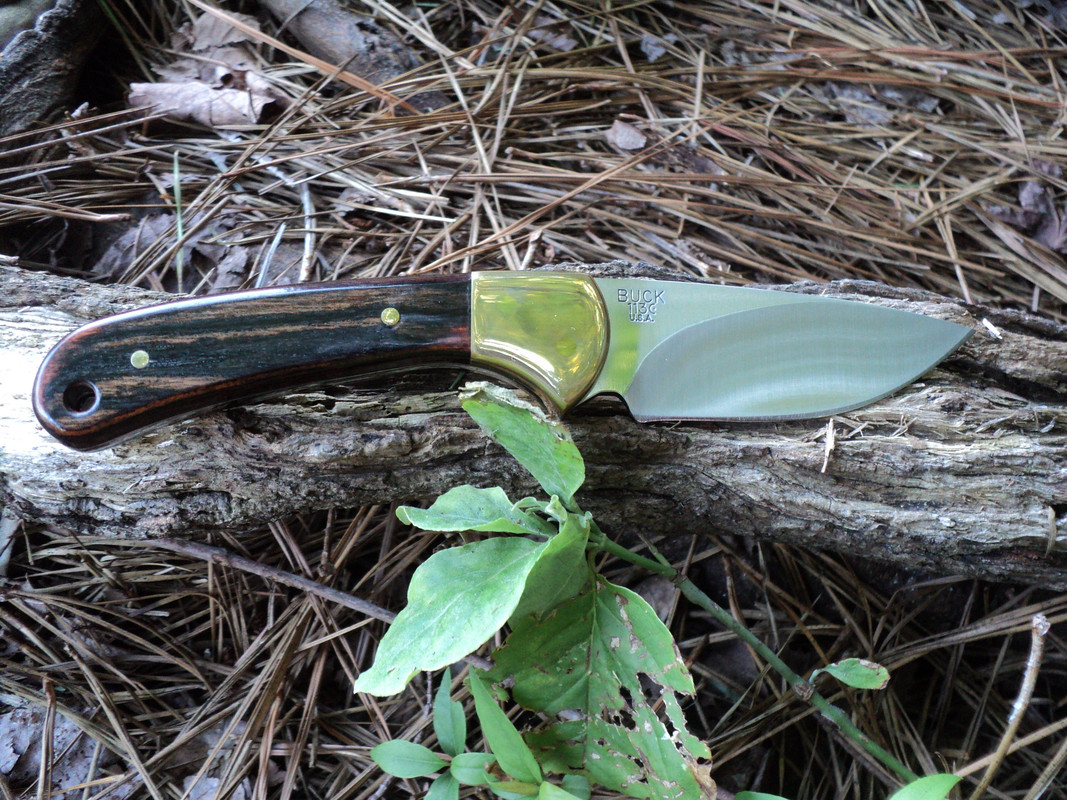 Buck_113_8-17-12.jpg