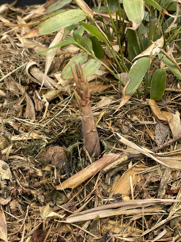 88531B2A-737B-40C3-A68A-952317490F5F