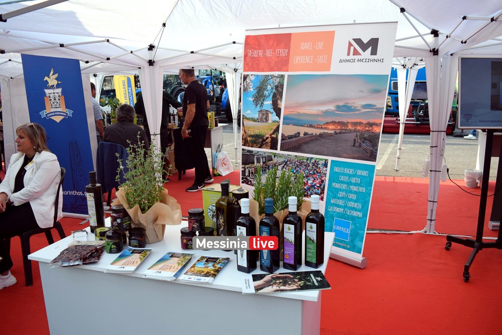 festival-DSC-0688
