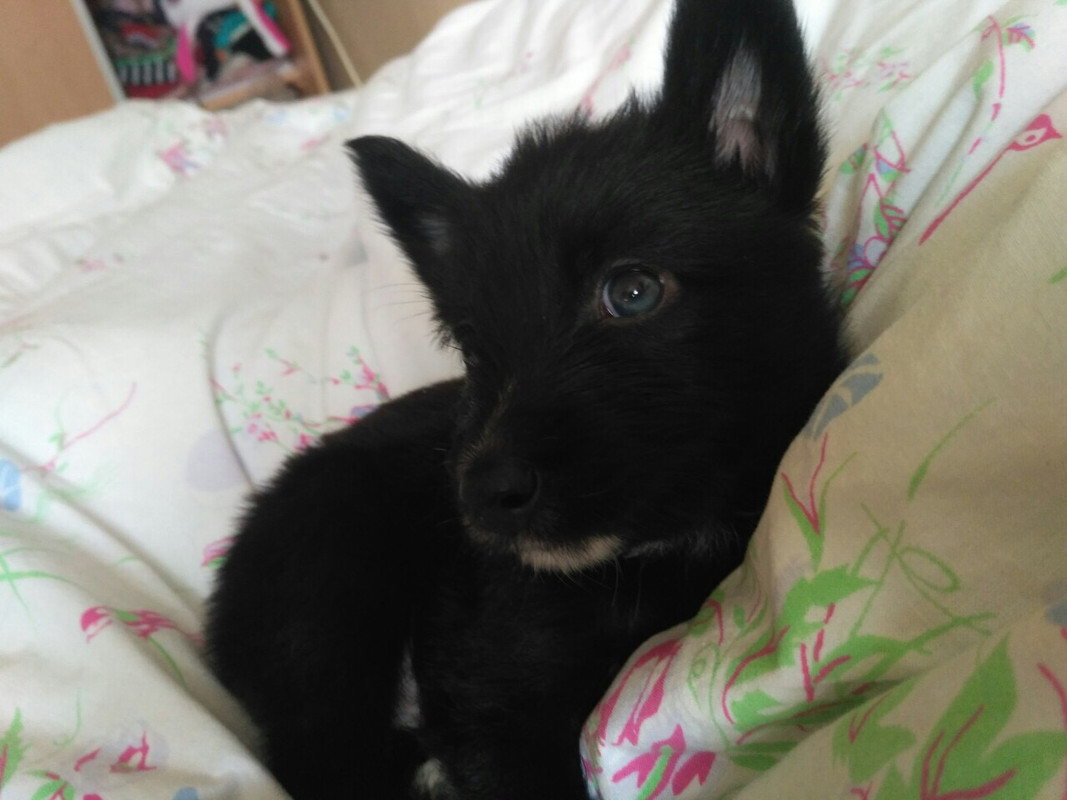 13ABC2C3-266E-4949-A6B4-1631B0E0AD1A