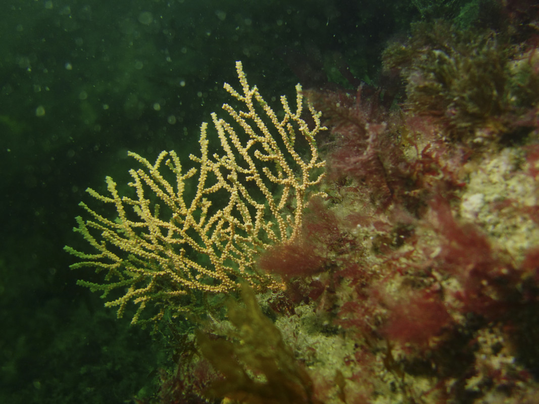 02004_15-02-2Coul-00224