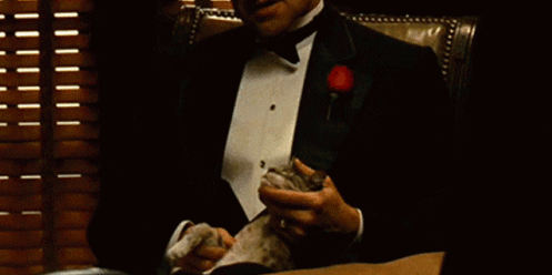 https://i.postimg.cc/W4LwqZBD/sQbBOi6.gif