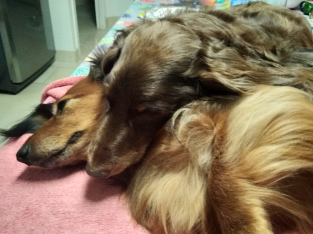 [Image: IMG-20201204-190646.jpg]