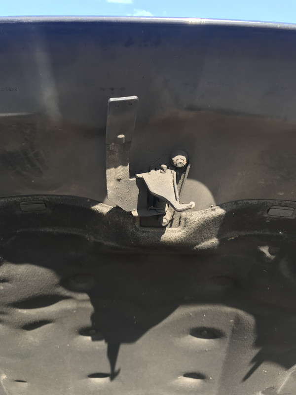 1C39A8DF-9FF2-4814-A3BC-C76A90965D72