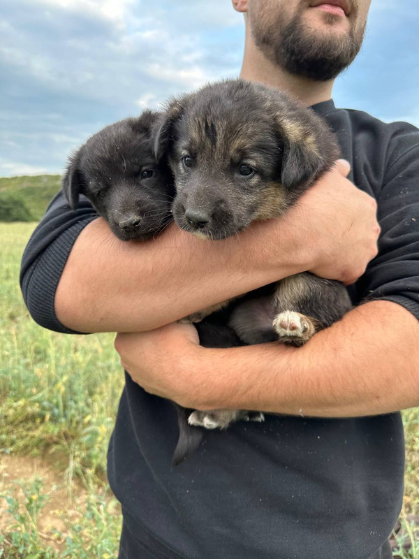 photo_2023-07-23_20-05-13