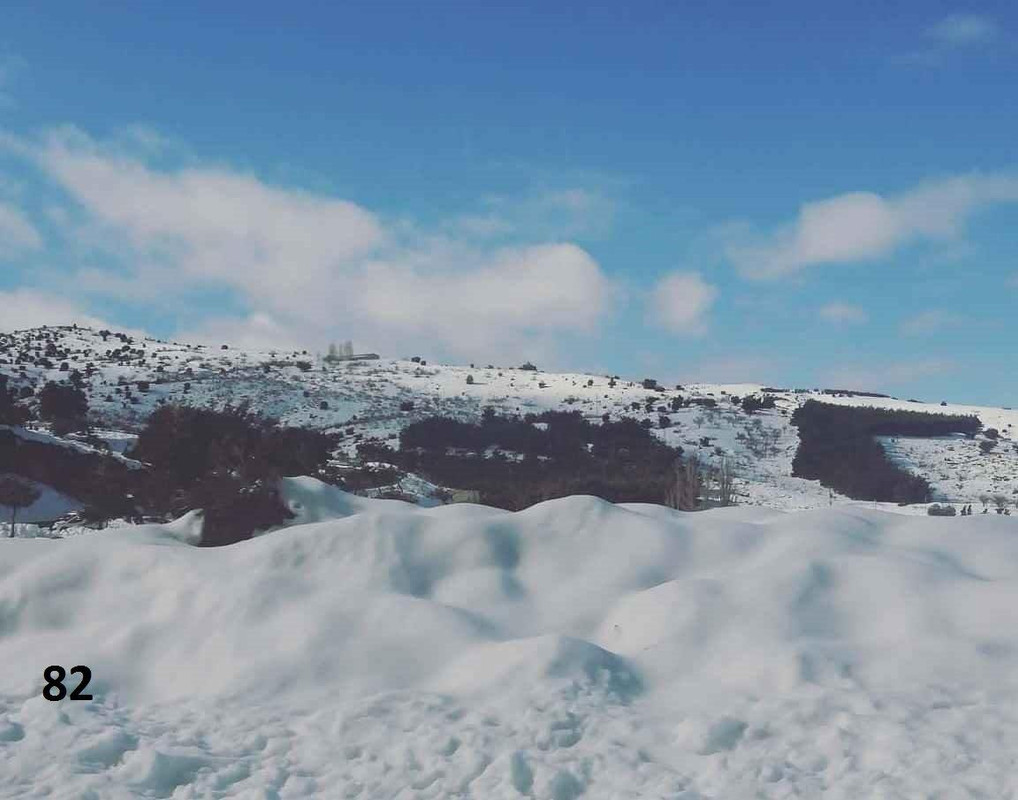 82 IMG-20200126-WA0022 ew