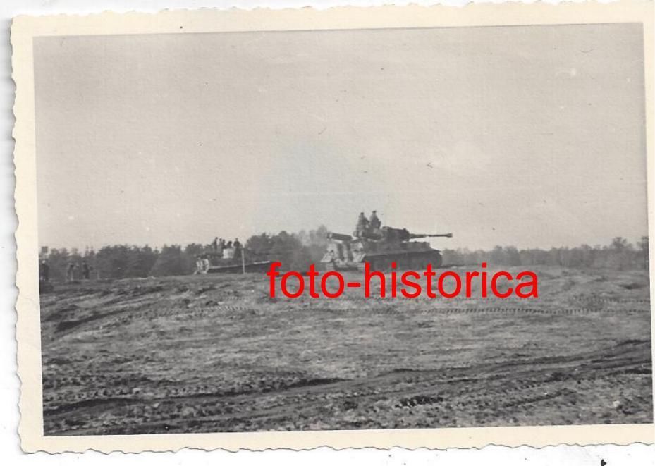 2 WK,Panzer Tiger mit Tarnanstrich, Königstiger,
