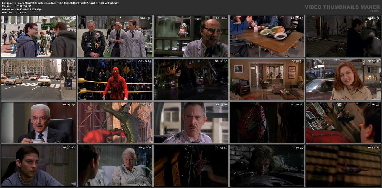 Spider-Man-2002-Mastered-in-4k-REMUX-1080p-Blu-Ray-True-HD-5-1-AVC-LEGi0-N-Vietsub-mkv.jpg
