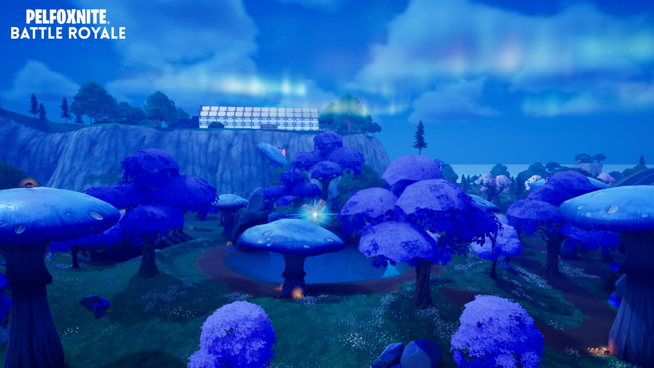 Image large sur desktop