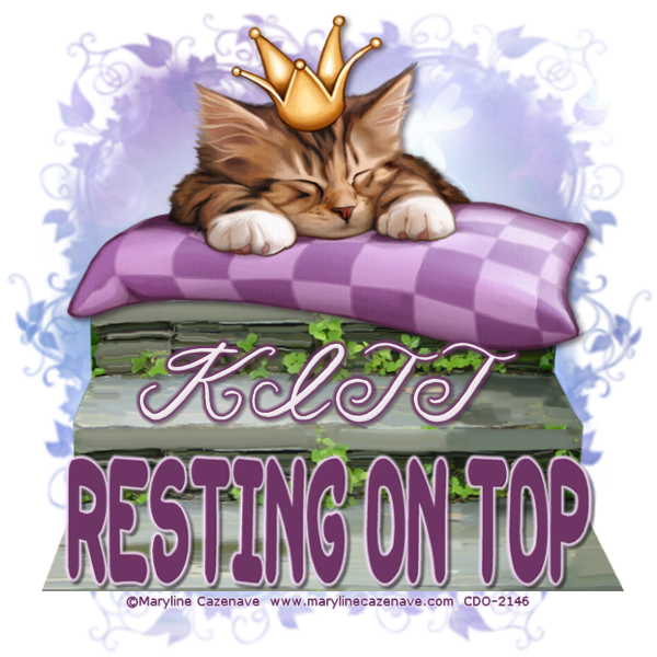 Top Chick On The Block * 2021 * - Page 10 Resting-On-Top-MC-KITT