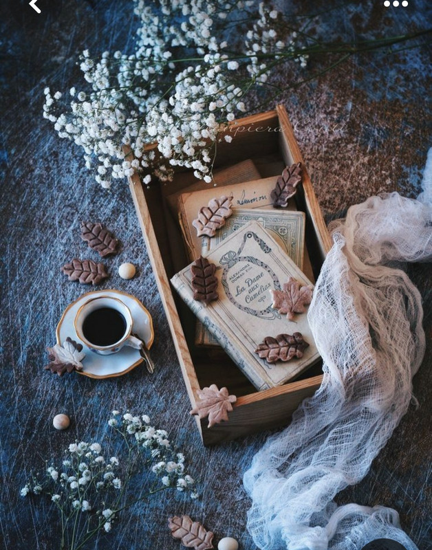 Screenshot_20230913_201531_Pinterest