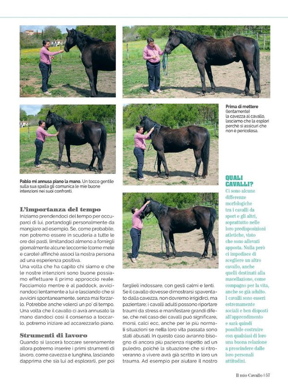 Il Mio Cav (Giu 2023) 6