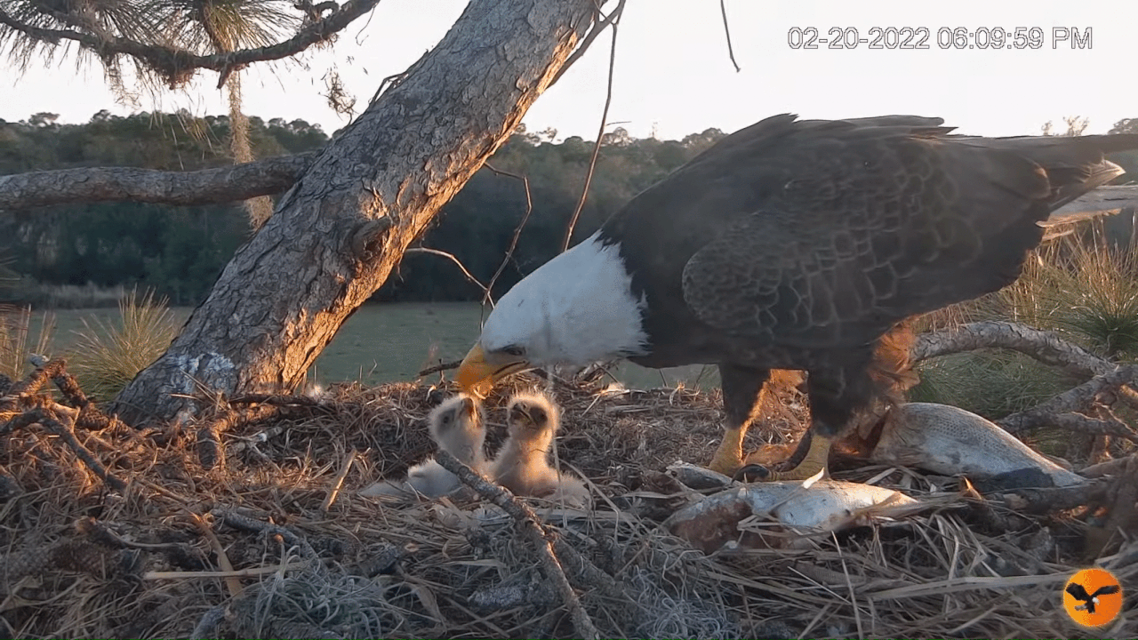 Webp.net-gifmaker (1)