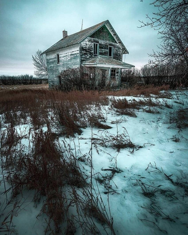 [Изображение: photo-2026-01-17-06-38-20.jpg]