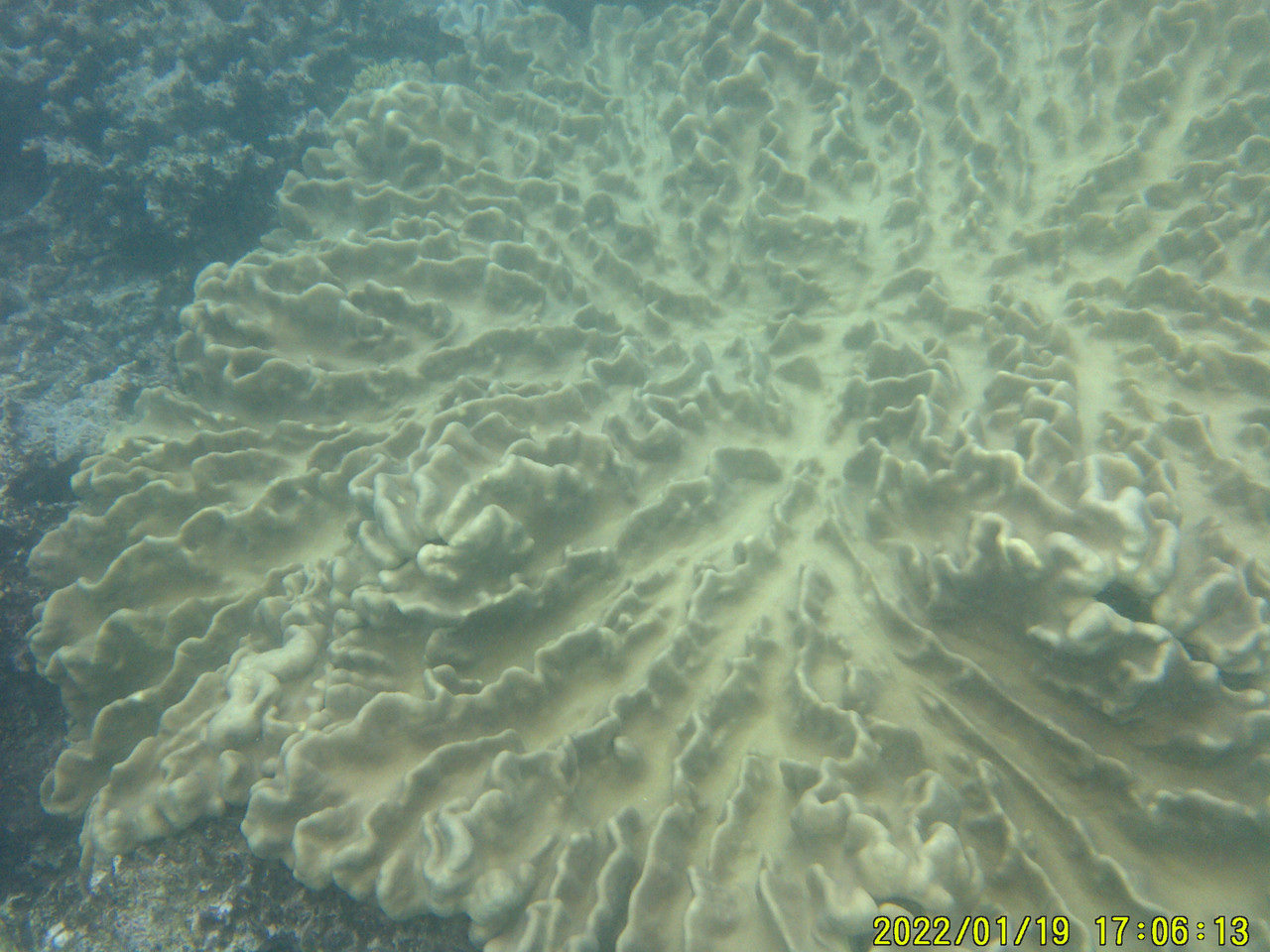 DSCF0003