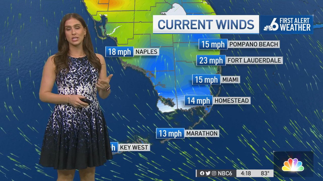 03.31 - 21.00.00 - Nbc 6 News At 4 00 P.M.-1.m4v_snapshot_13.09_[2022.04.01_12.54.14]