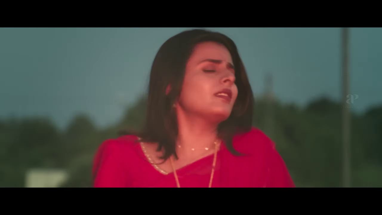 vlcsnap 2025 11 24 07h30m32s591