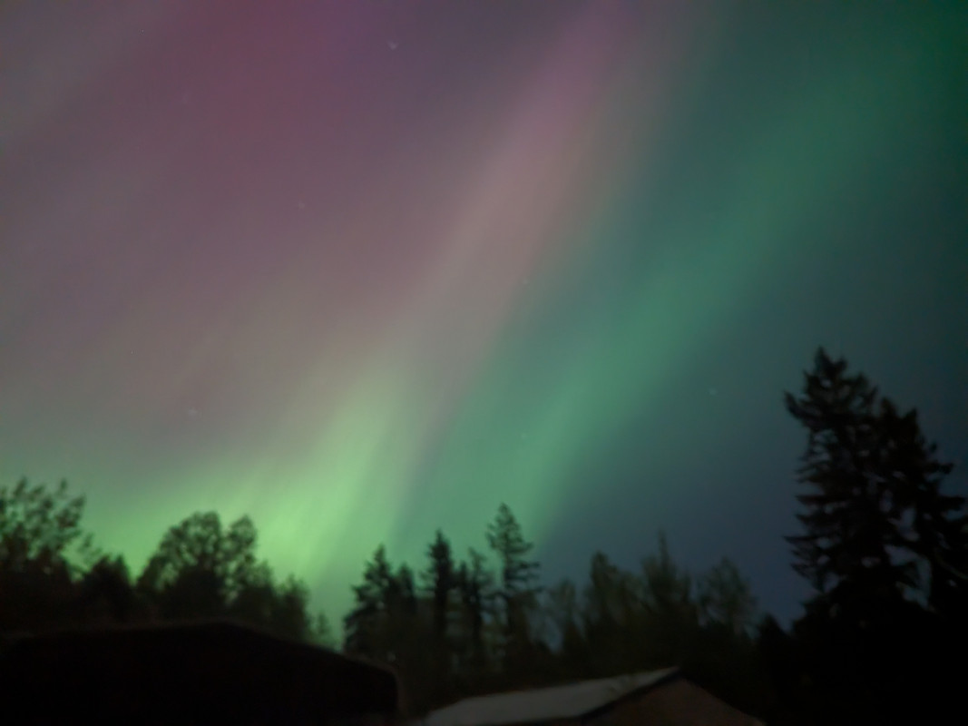 [Image: PXL-20240511-055554950-NIGHT.jpg]