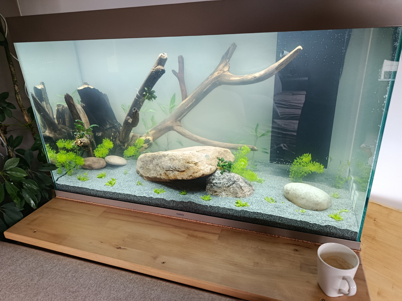 17746079875547767350304408960907