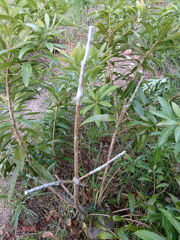 IMG 20260529 191440