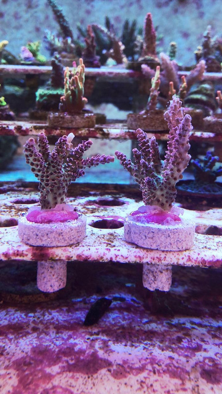 3748B281-231F-4DD5-85F0-C16B4883FADE