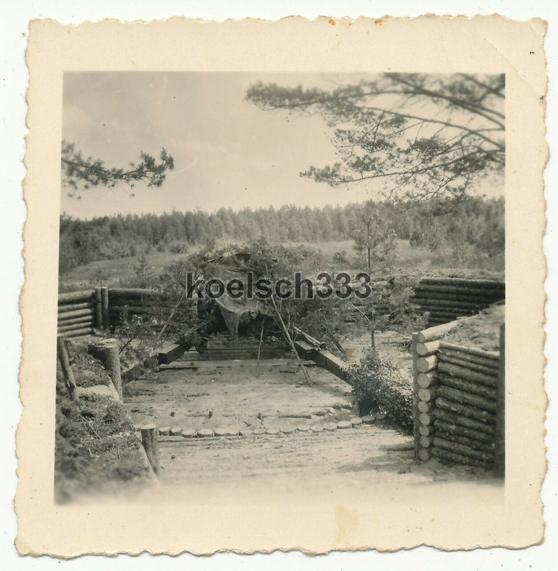 Foto Feldhaubitze in Feuerstellung auf einen Waldrand an der Ostfront in Rußland