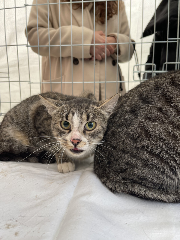 4A3344B1-647E-4403-972F-5AAF58FB9B6A