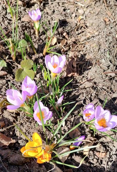 изображение viber 2026 03 06 14 42 54 564