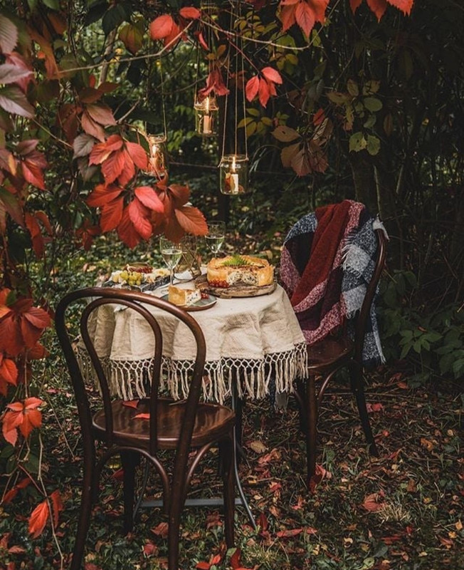 Screenshot_20231207_155628_Instagram