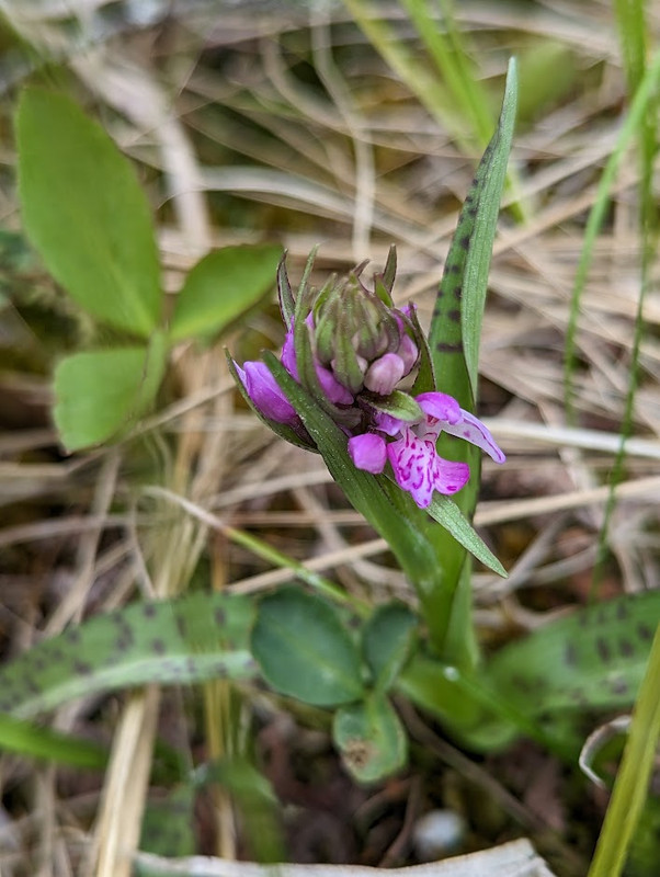 PXL_20230603_105342389