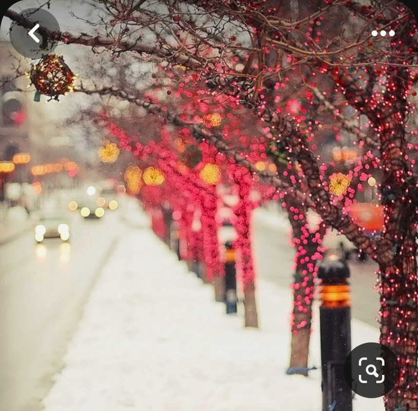 Screenshot_20231116_005421_Pinterest