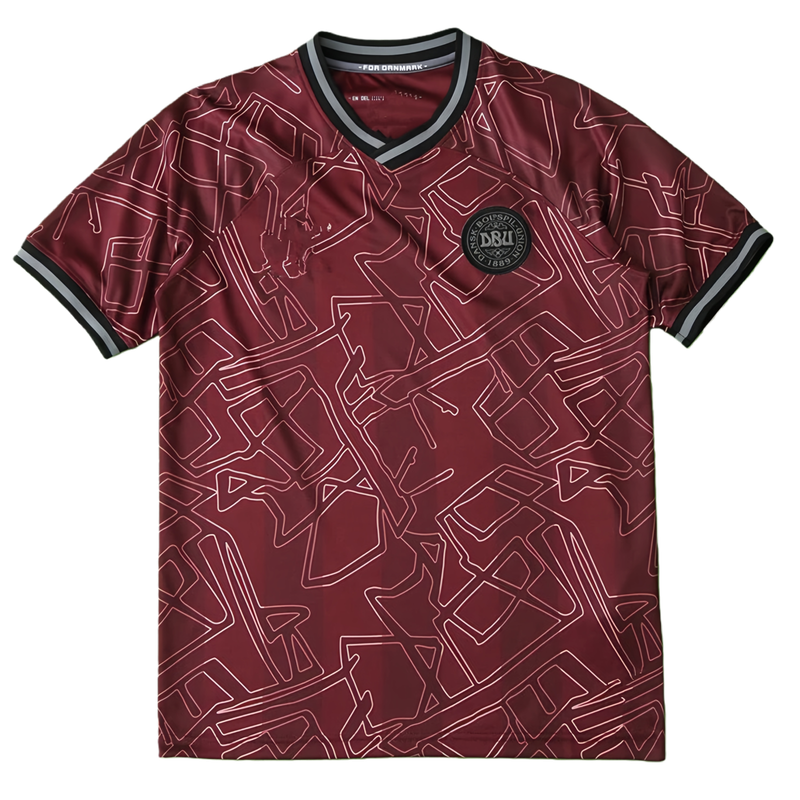 2425 season Denmark home Fan version
