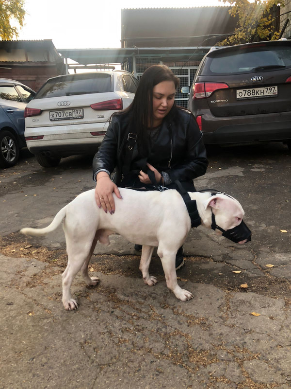 96607125-C772-4864-AE80-5F2CB9075637