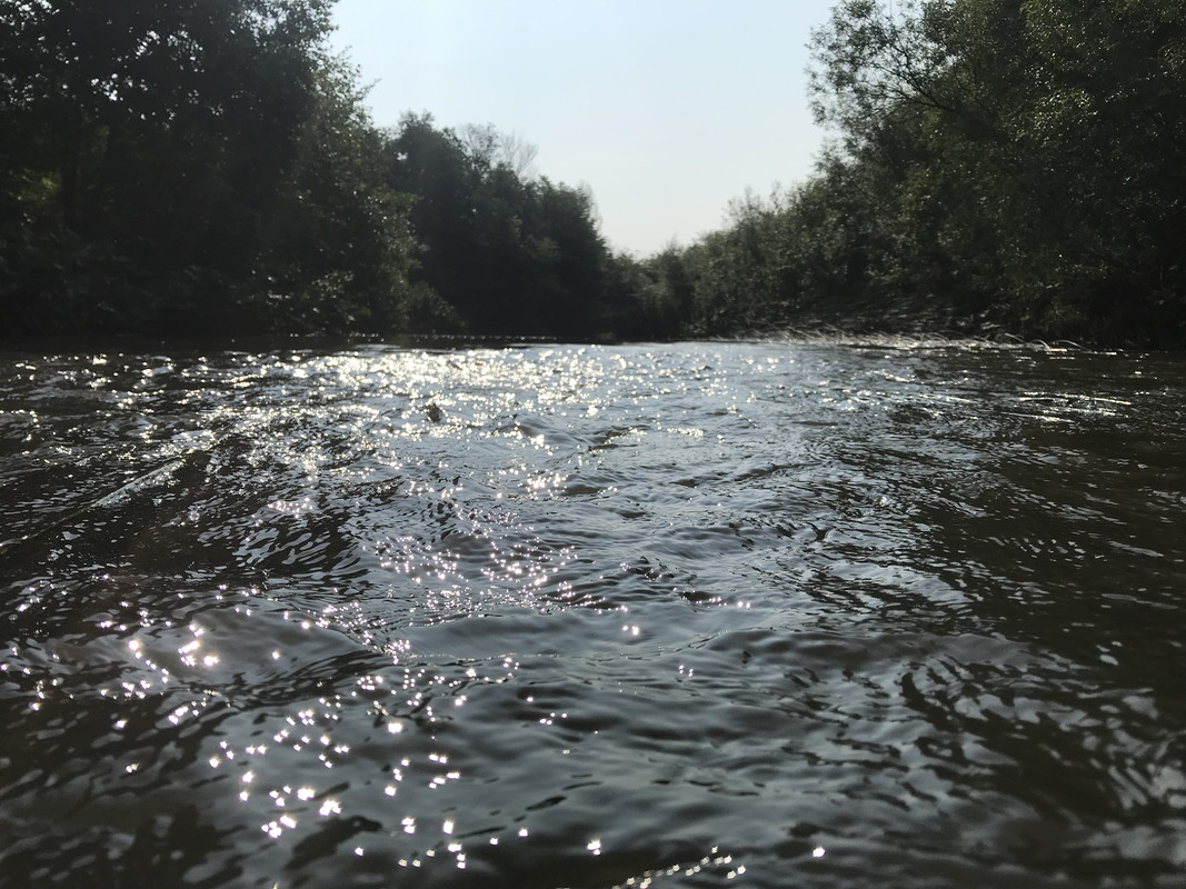 8AAEEA17-541B-4B2E-A446-D00824F25A32