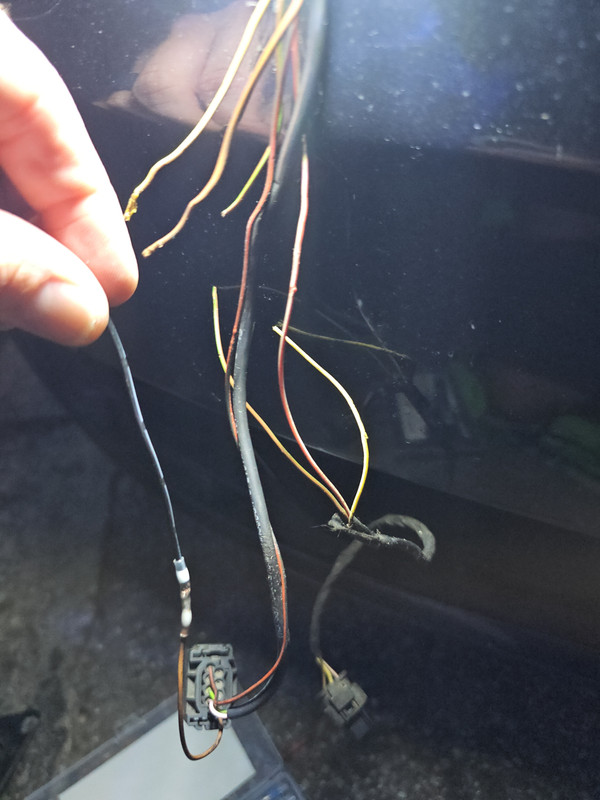 548cf9c2-b500-452e-9775-5b06626ea831