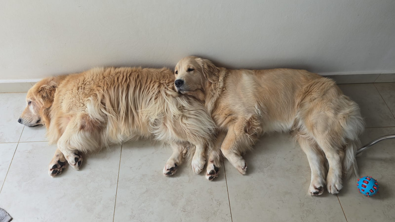 Whats-App-Image-2026-01-23-at-12-45-02.j