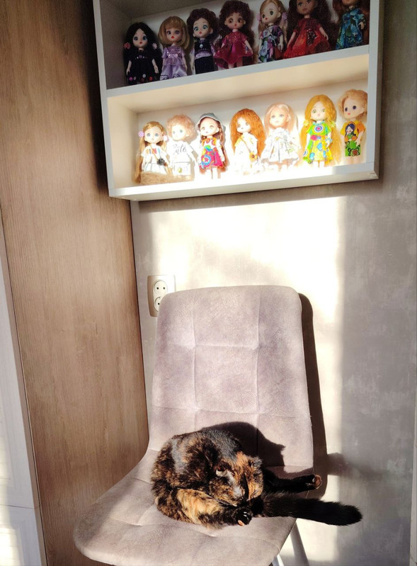 photo 2025 11 17 11 13 01 (2)