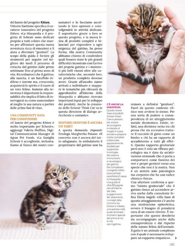 Ga Ma Ago-Set 2022 (4)