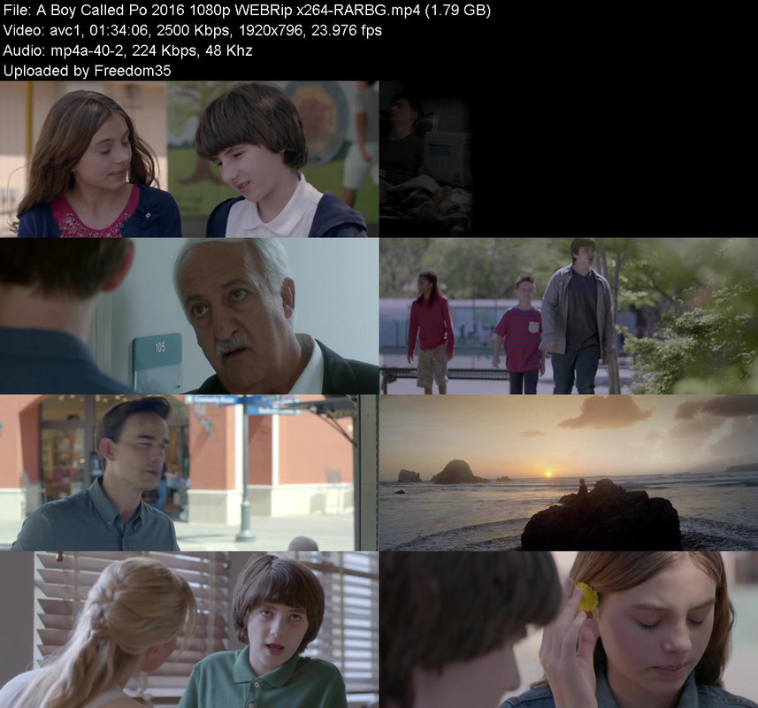 A-Boy-Called-Po-2016-1080p-WEBRip-x264-R