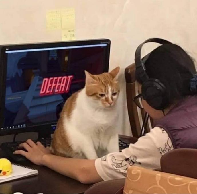 63E4FC24-B420-45E7-BD9D-1BF047A722EE