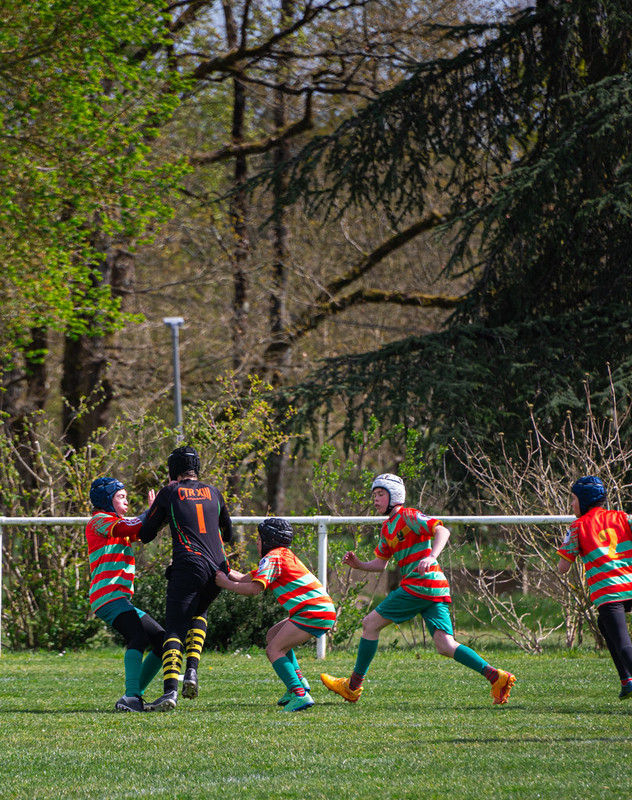 tournoi-de-latlantique-2026-adonis-griffon-23-55181459098-l