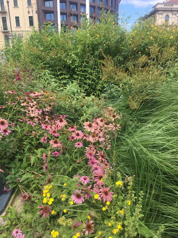 8DD7D2DE-040E-47D0-BDBC-FA04AFA19835