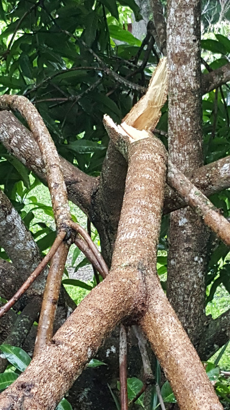 20180525_140231