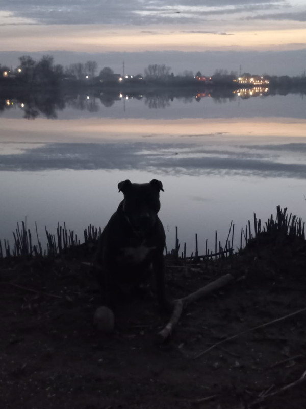 93C4C9E7-F867-469E-A475-F692D80AA87D