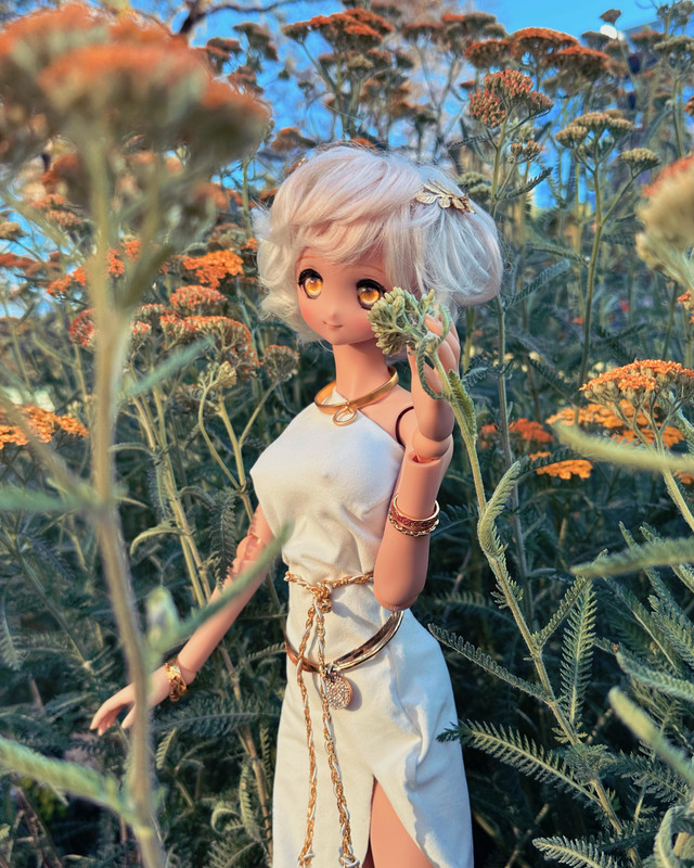 2DF2F925-51CC-402F-AB00-C5D4CAFB48DB