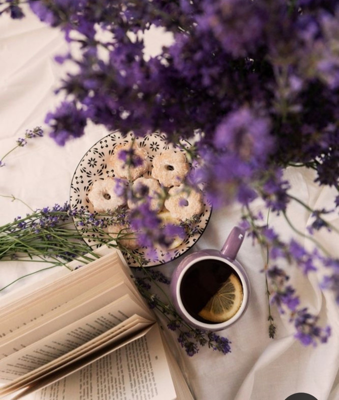 Screenshot_20230227_231624_Pinterest