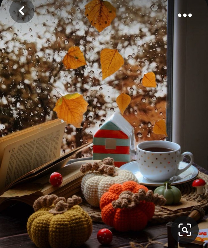 Screenshot_20231031_170839_Pinterest